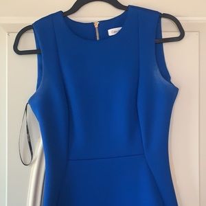 Size 4 Calvin Klein Dress